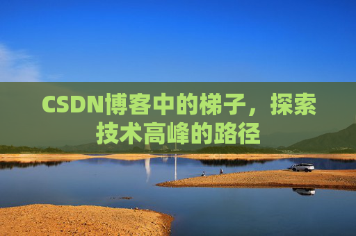 CSDN博客中的梯子，探索技术高峰的路径